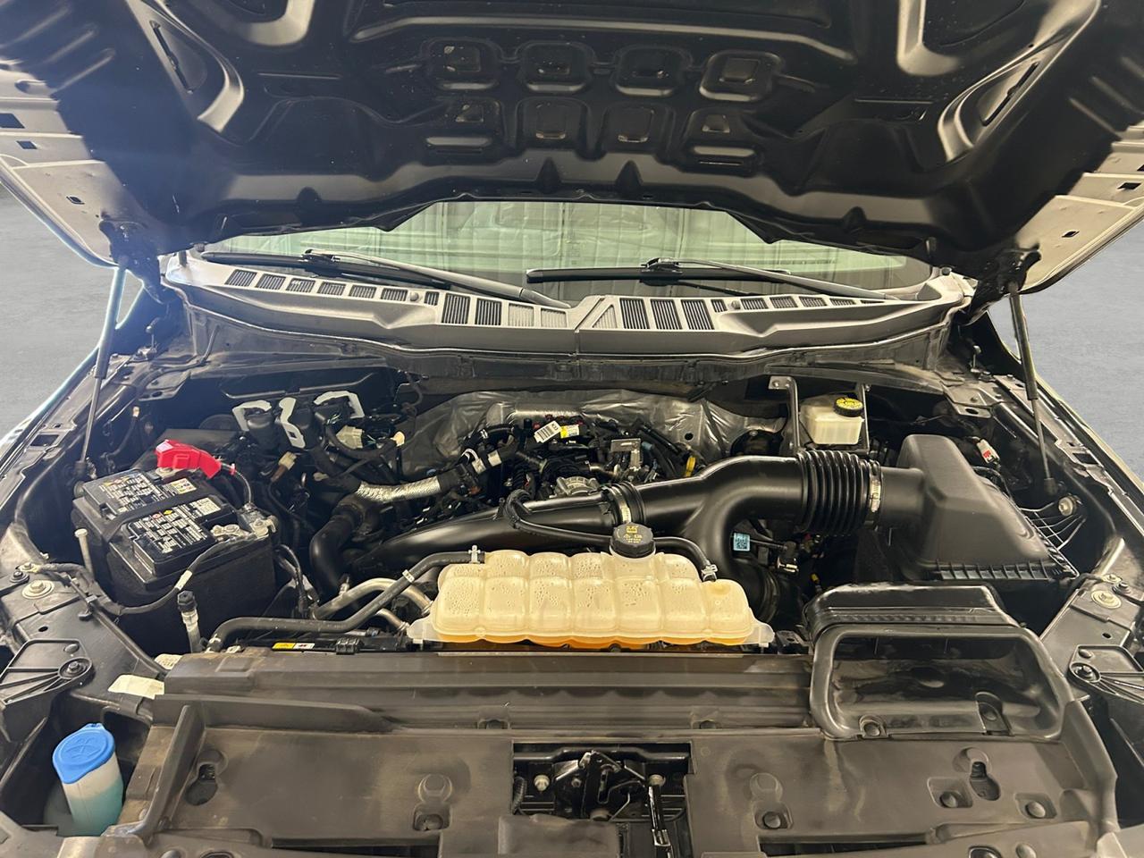 2024 Ford F-150 STX New Braunfels TX