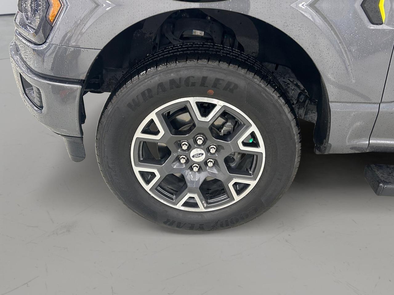 2024 Ford F-150 STX New Braunfels TX