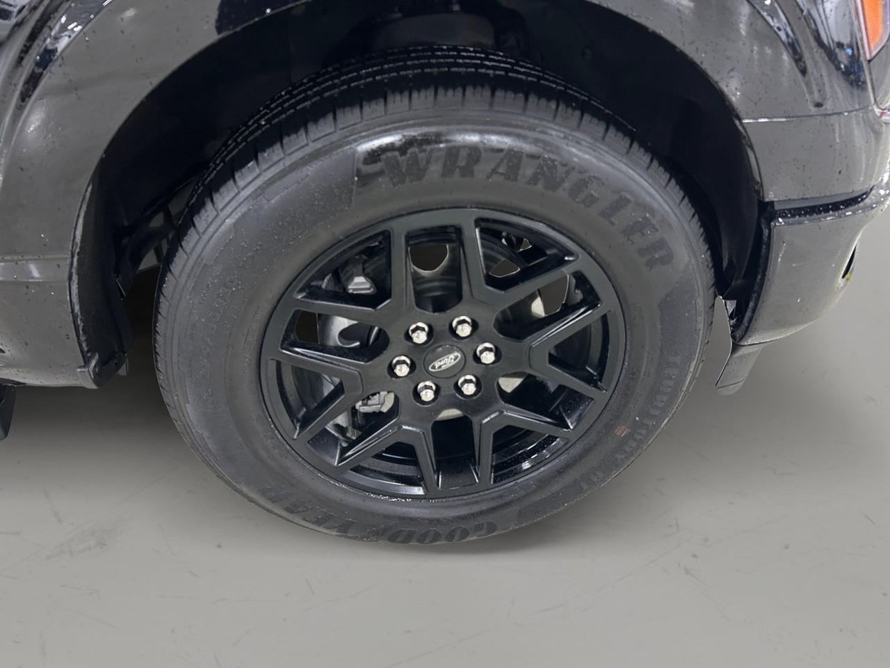 2024 Ford F-150 STX New Braunfels TX