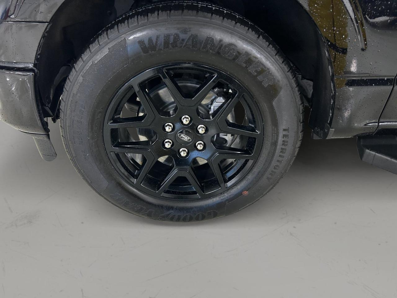 2024 Ford F-150 STX New Braunfels TX