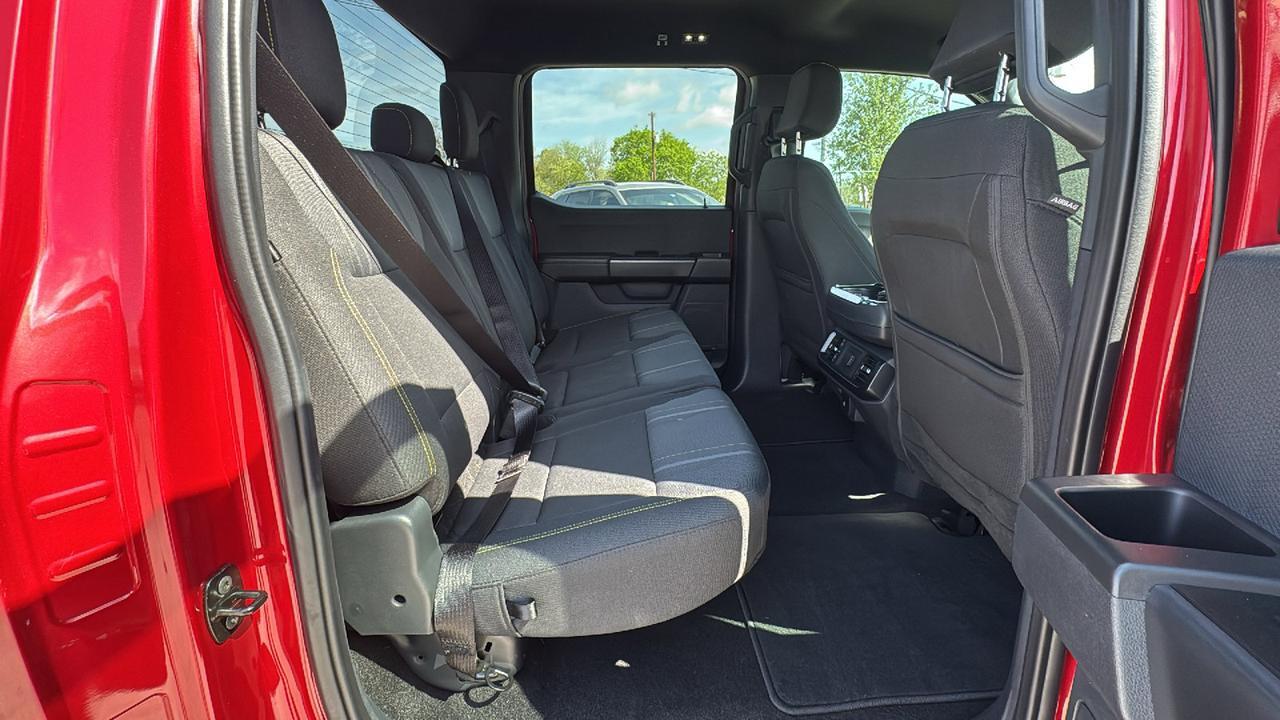 2024 Ford F-150 STX New Braunfels TX