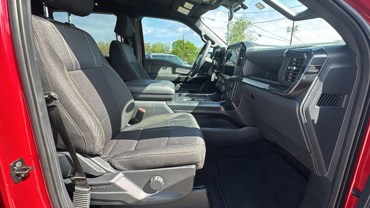 2024 Ford F-150 STX New Braunfels TX