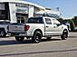 2024 Ford F-150 STX Wilson NC