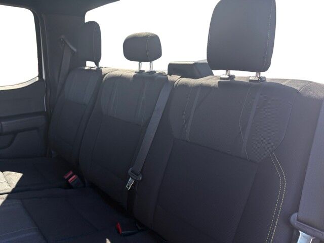 2024 Ford F-150 STX Yuma AZ