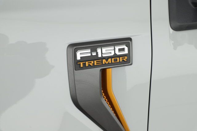2024 Ford F-150 Tremor New Braunfels TX