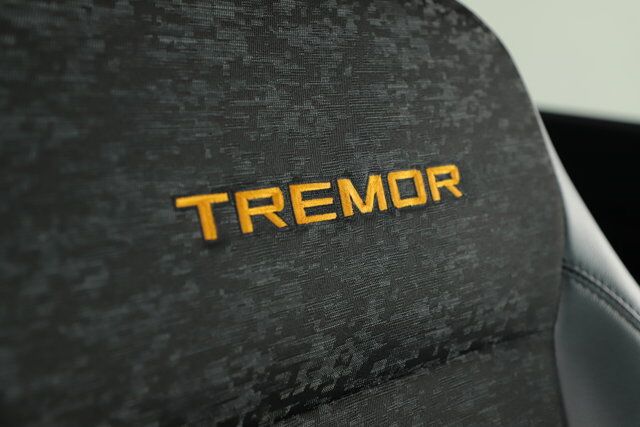 2024 Ford F-150 Tremor New Braunfels TX