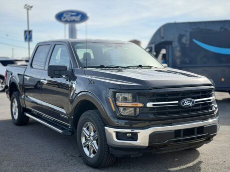 2024 Ford F-150 XLT  TX