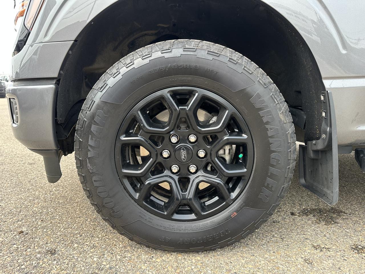 2024 Ford F-150 XLT Crew Cab 4WD | V6 EcoBoost | Low KMs | NAV | Rearview Camera | Remote Start Redwater AB