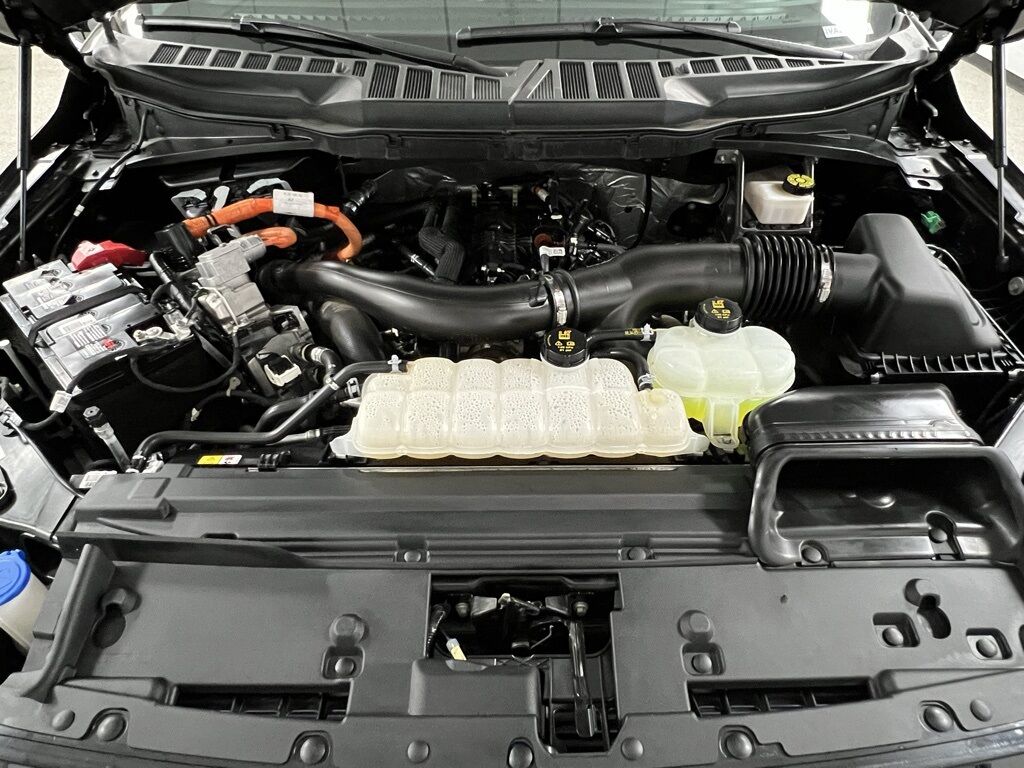 2024 Ford F-150 XLT Highlands Ranch CO