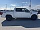 2024 Ford F-150 XLT Milwaukee WI
