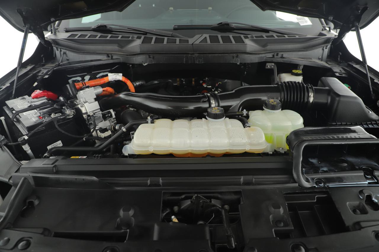 2024 Ford F-150 XLT New Braunfels TX