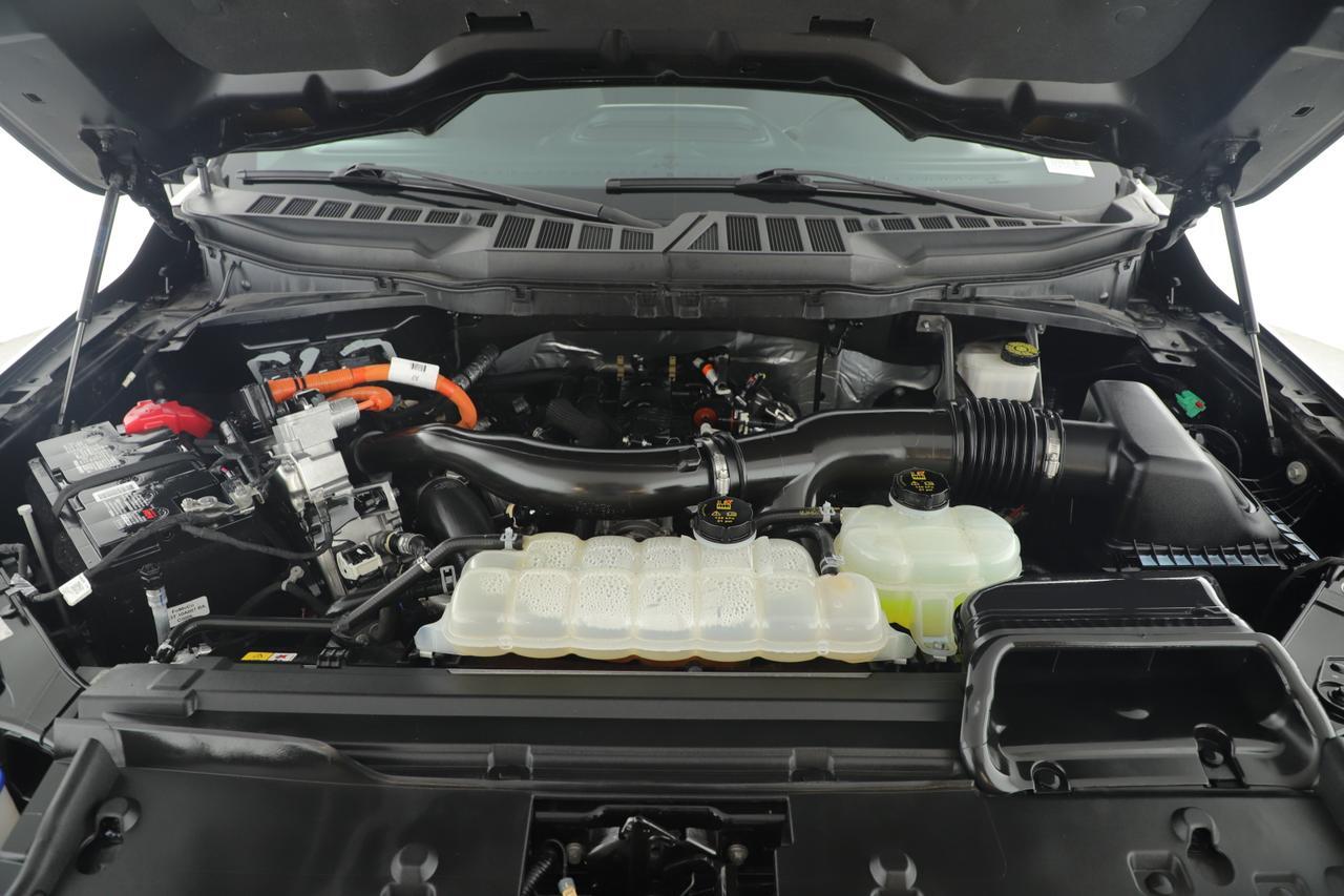 2024 Ford F-150 XLT New Braunfels TX