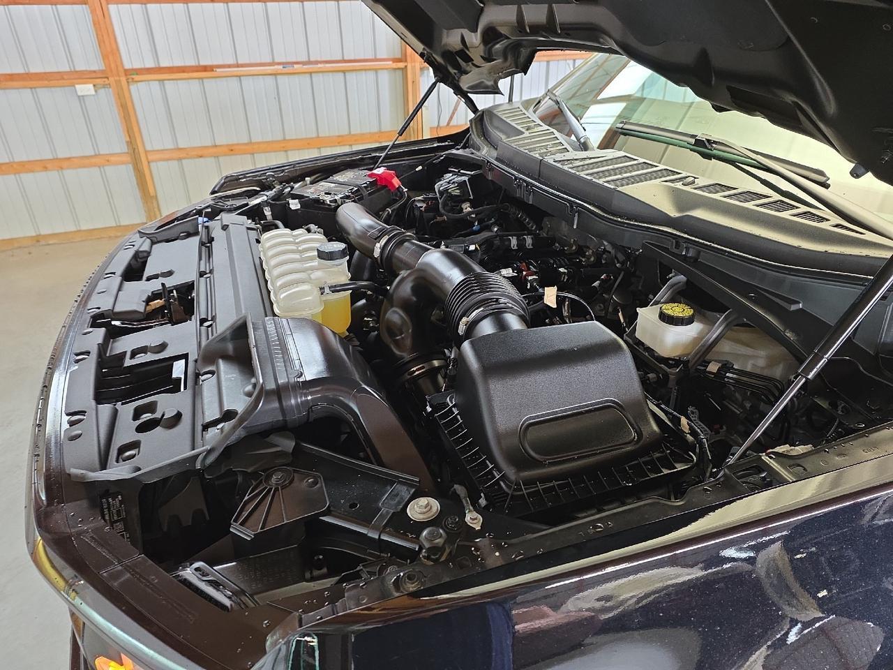 2024 Ford F-150 XLT Sand Lake NY