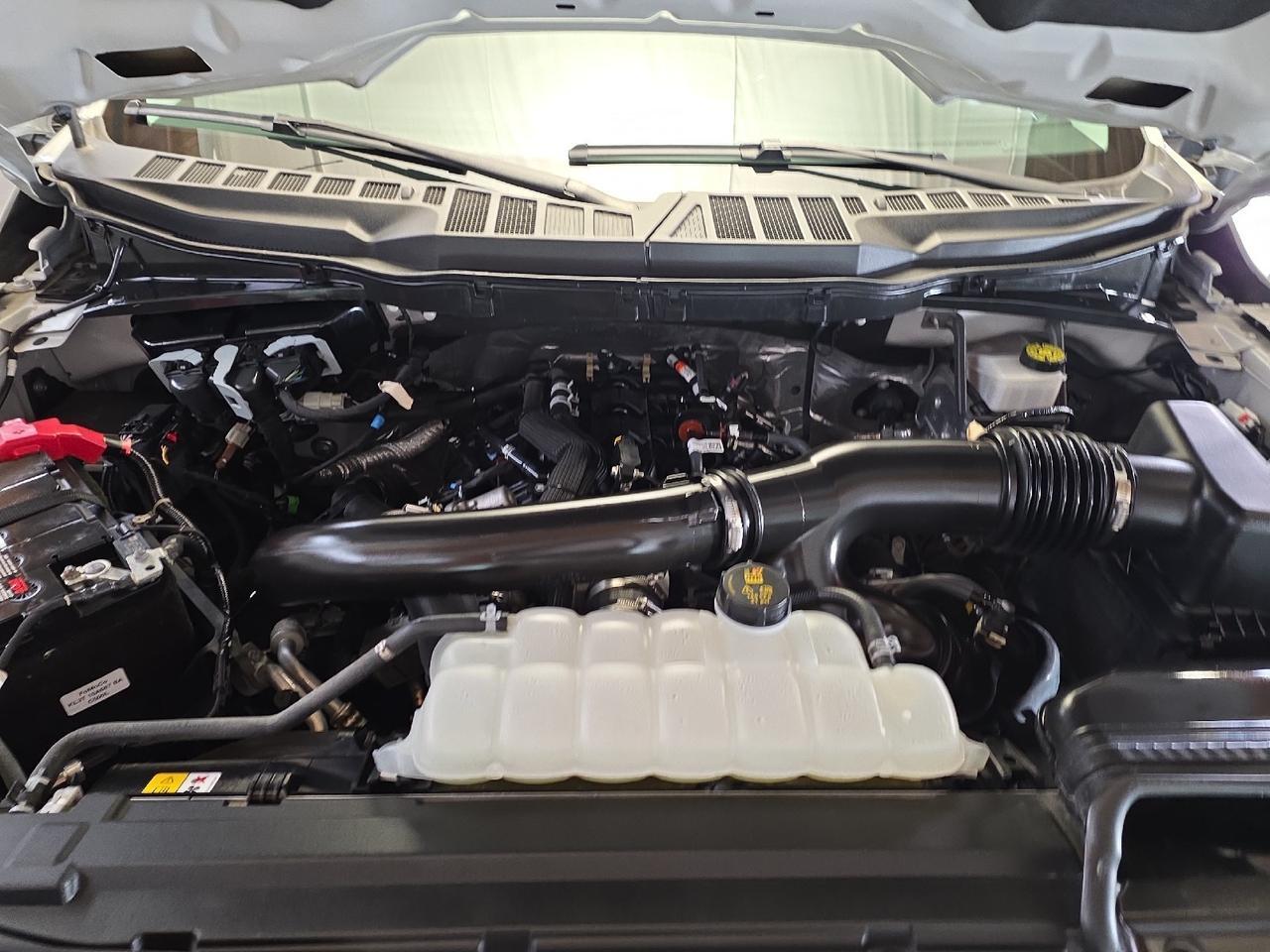 2024 Ford F-150 XLT Sand Lake NY