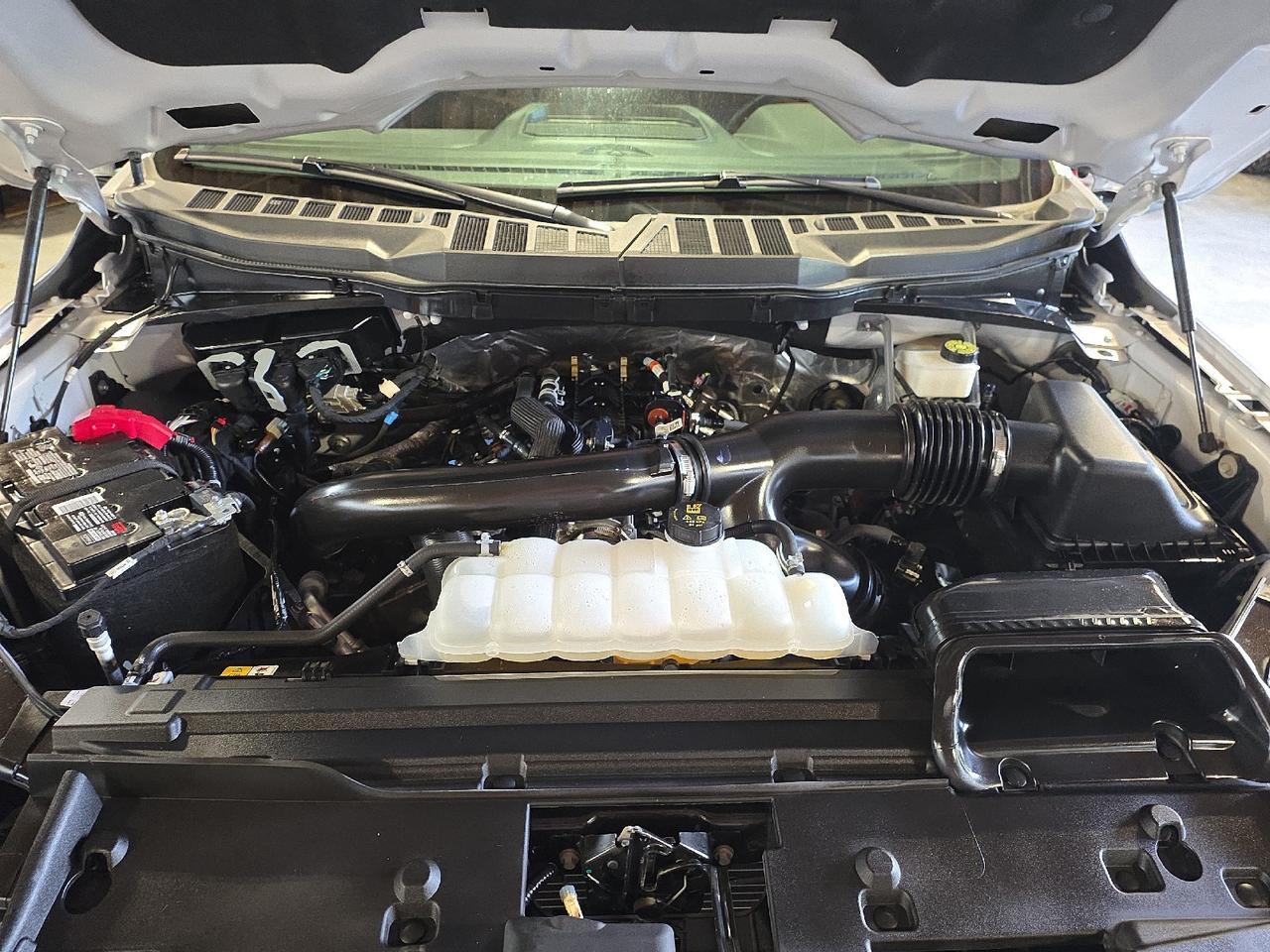 2024 Ford F-150 XLT Sand Lake NY