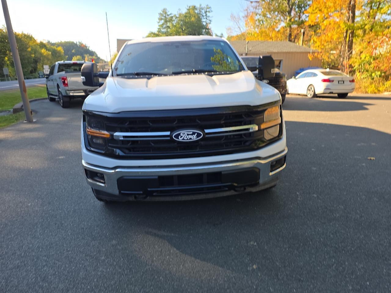 2024 Ford F-150 XLT Sand Lake NY
