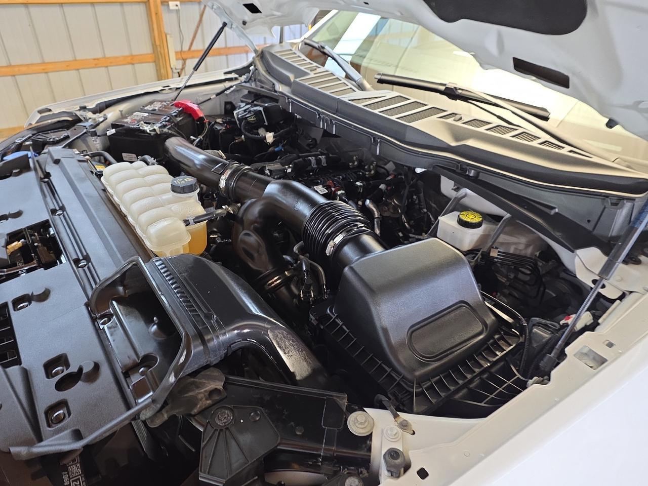 2024 Ford F-150 XLT Sand Lake NY