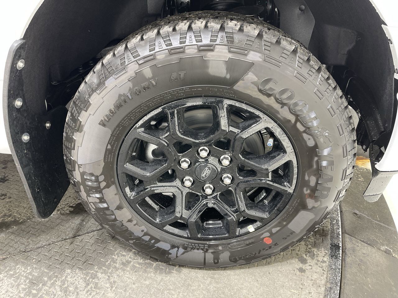 2024 Ford F-150 XLT Sherwood Park AB