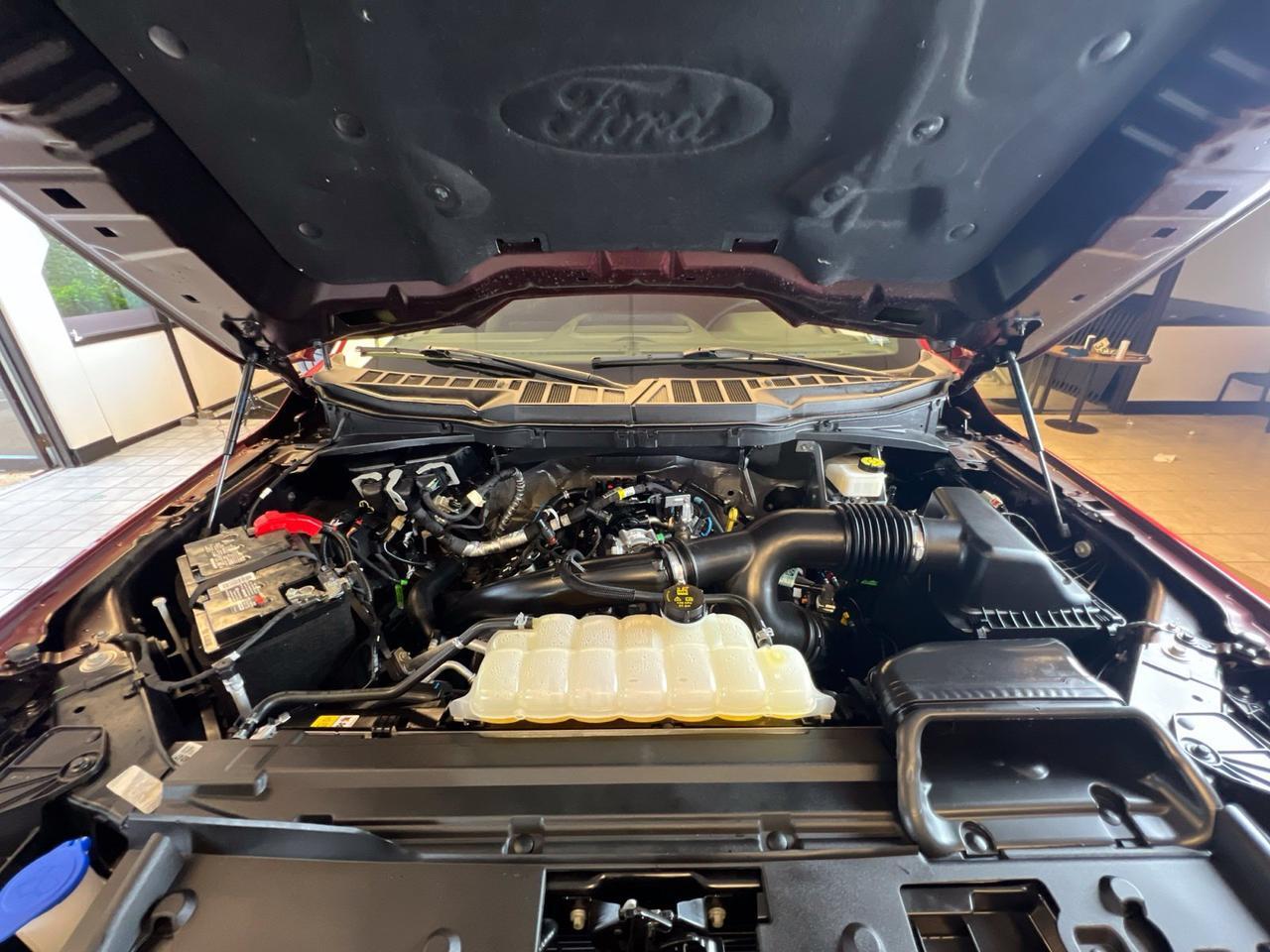 2024 Ford F-150 XLT Richmond VA