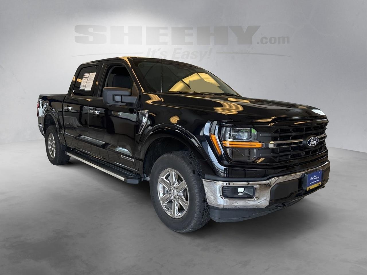 2024 Ford F-150 XLT Richmond VA