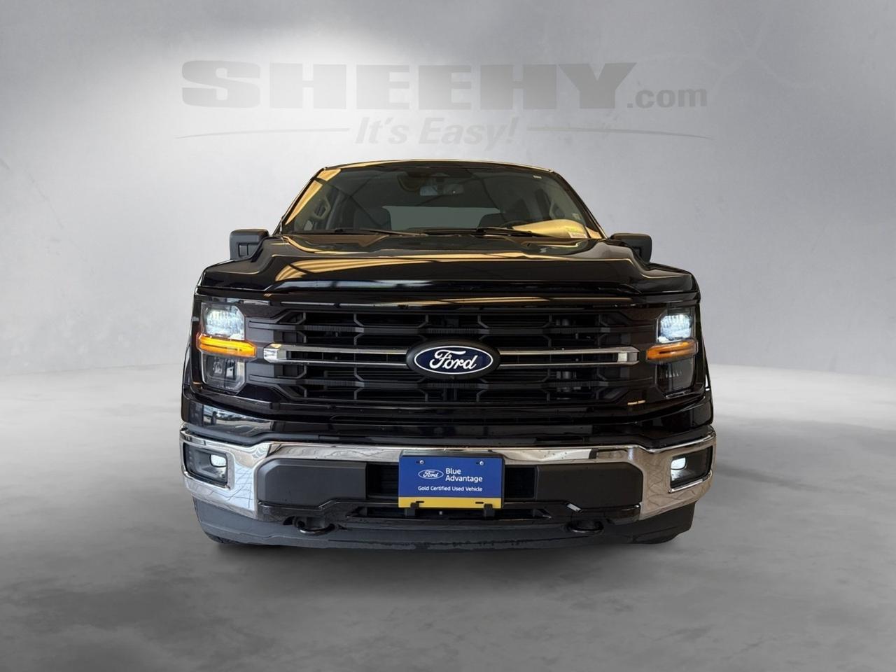 2024 Ford F-150 XLT Richmond VA