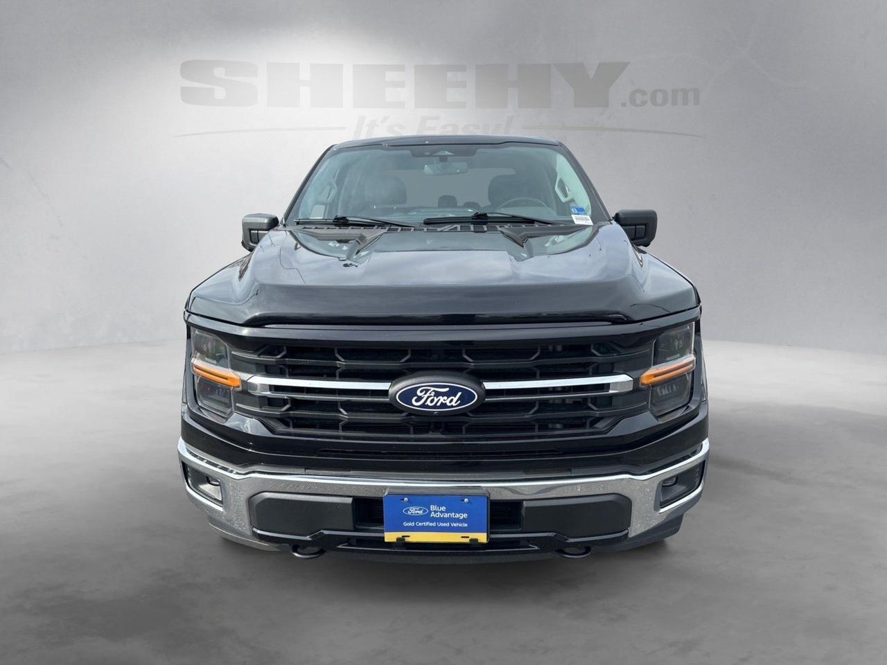 2024 Ford F-150 XLT Richmond VA