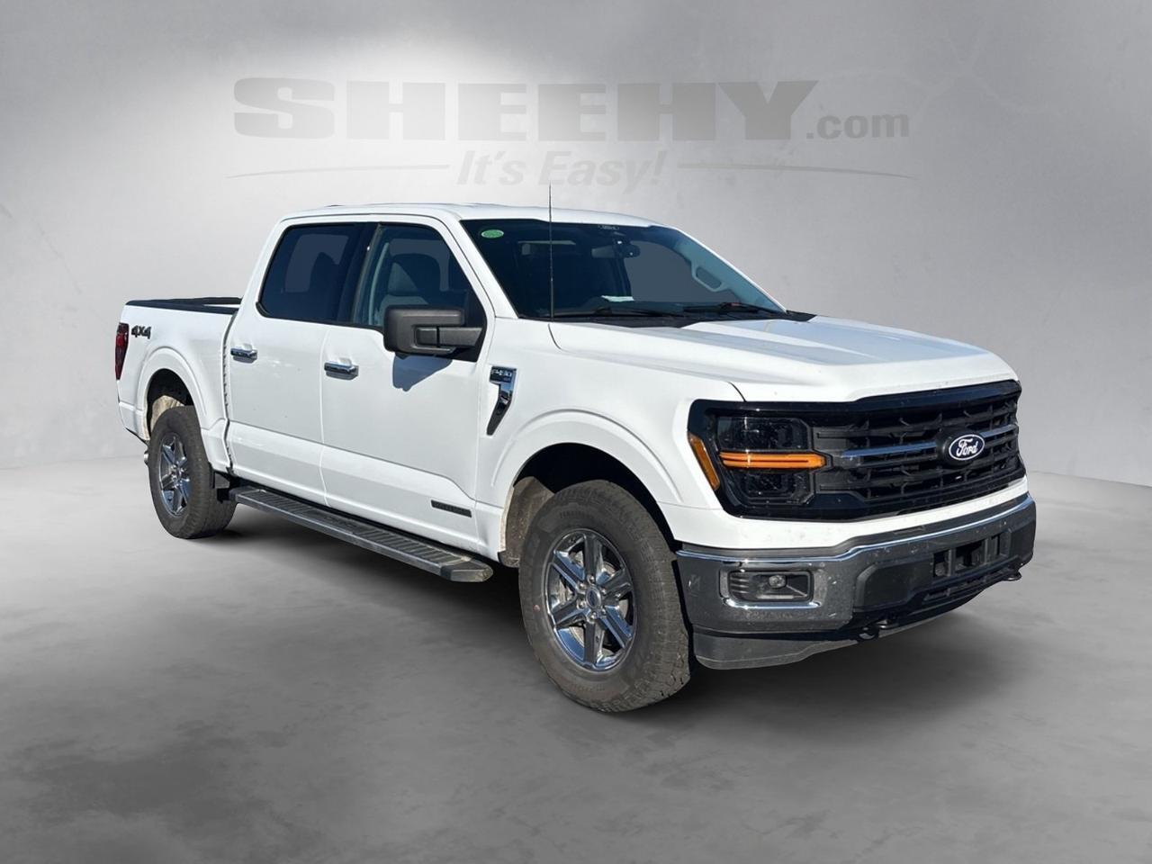 2024 Ford F-150 XLT Richmond VA