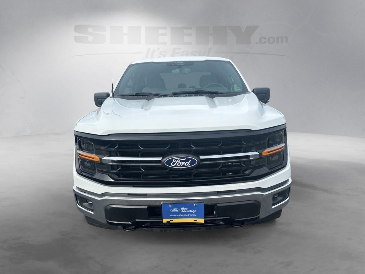 2024 Ford F-150 XLT Richmond VA