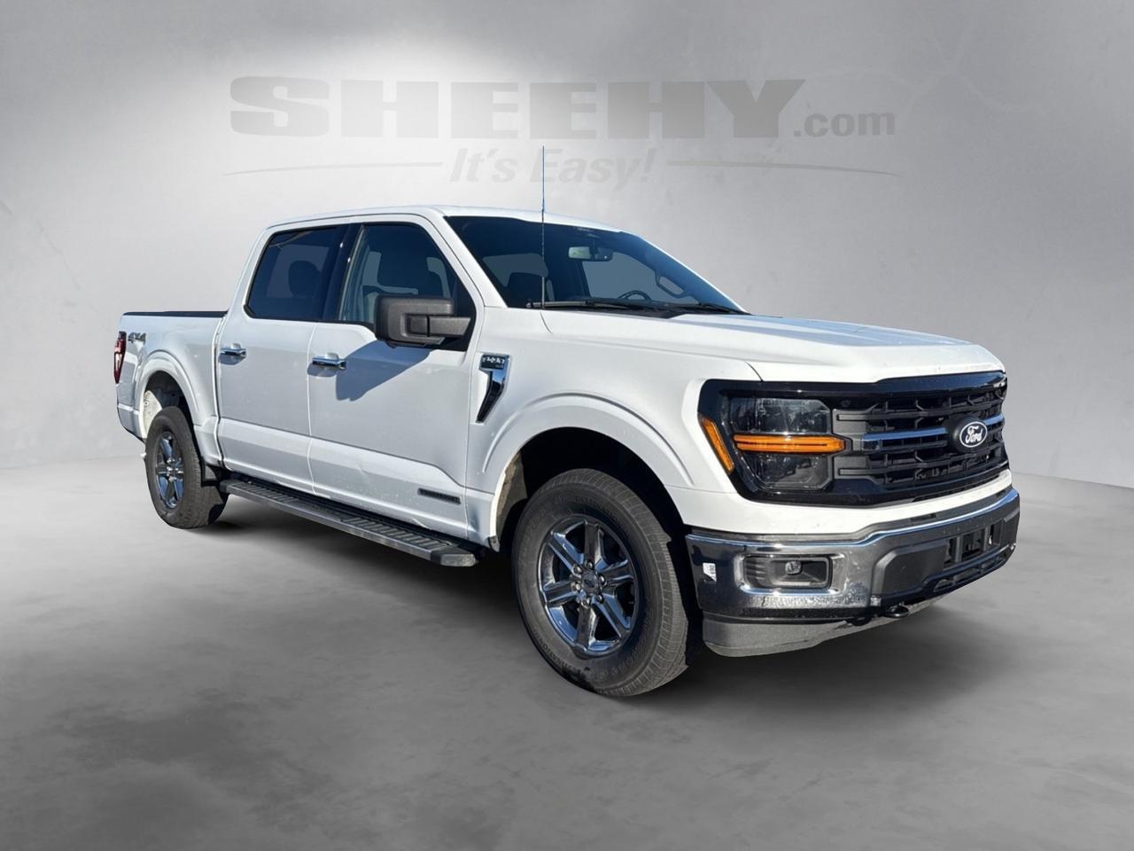 2024 Ford F-150 XLT Richmond VA