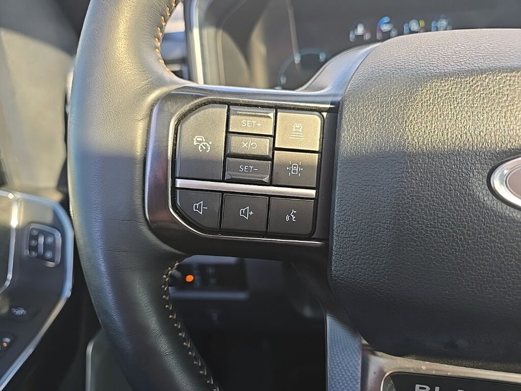 2024 Ford F-250 Super Duty 4x4 Crew Cab Platinum Fond du Lac WI