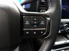 2024 Ford F-250 Super Duty 4x4 Crew Cab Platinum Fond du Lac WI