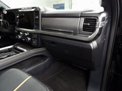 2024 Ford F-250 Super Duty 4x4 Crew Cab Platinum Fond du Lac WI