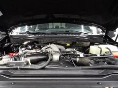 2024 Ford F-250 Super Duty 4x4 Crew Cab Platinum Fond du Lac WI