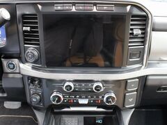 2024 Ford F-250 Super Duty 4x4 Crew Cab Platinum Fond du Lac WI