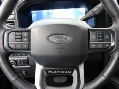 2024 Ford F-250 Super Duty 4x4 Crew Cab Platinum Fond du Lac WI