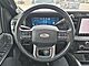 2024 Ford F-250SD 4x4 Crew Cab Platinum Fond du Lac WI