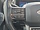 2024 Ford F-250SD 4x4 Crew Cab Platinum Fond du Lac WI