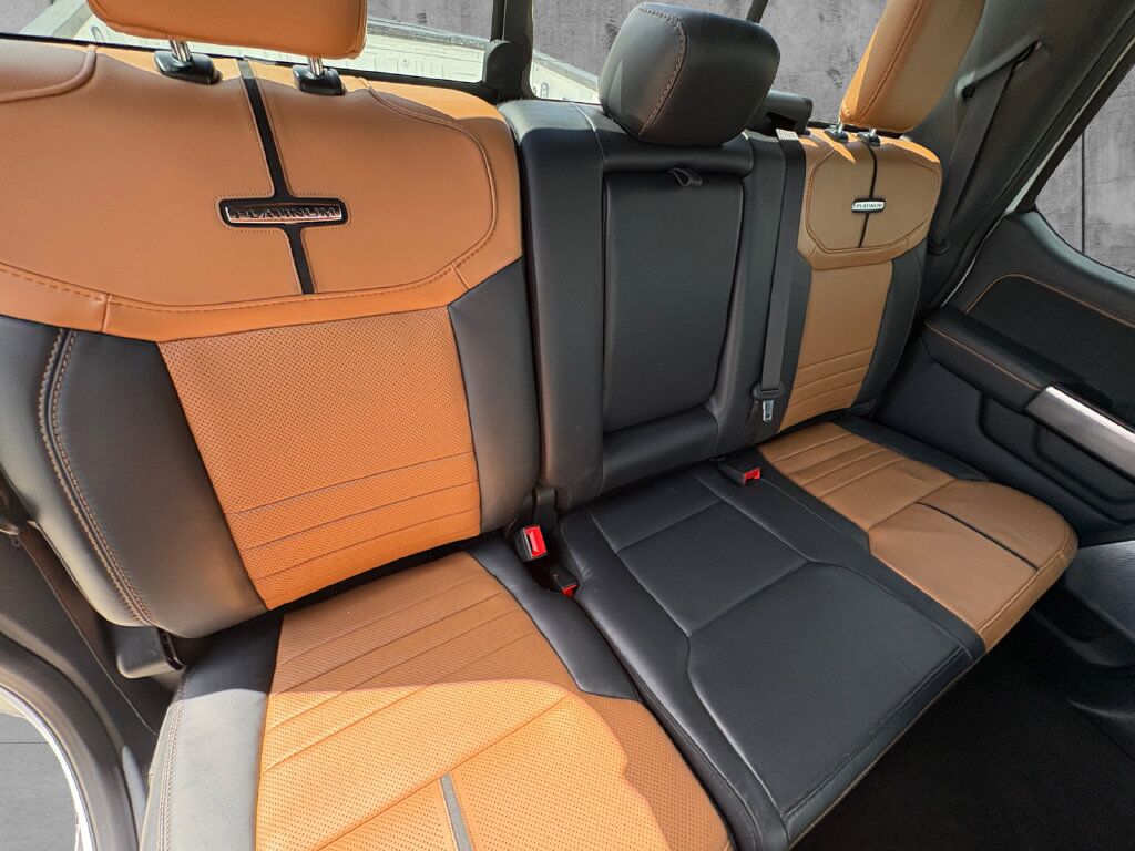 2024 Ford F-250SD Platinum Hondo TX