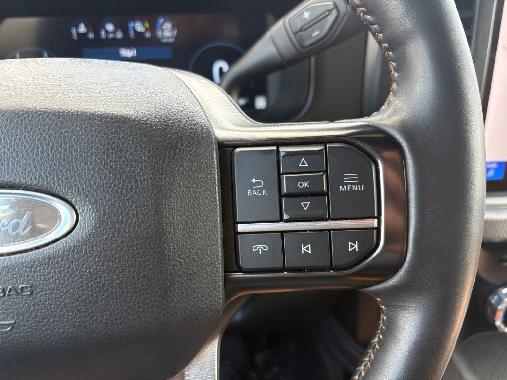 2024 Ford F-250SD Platinum Hondo TX