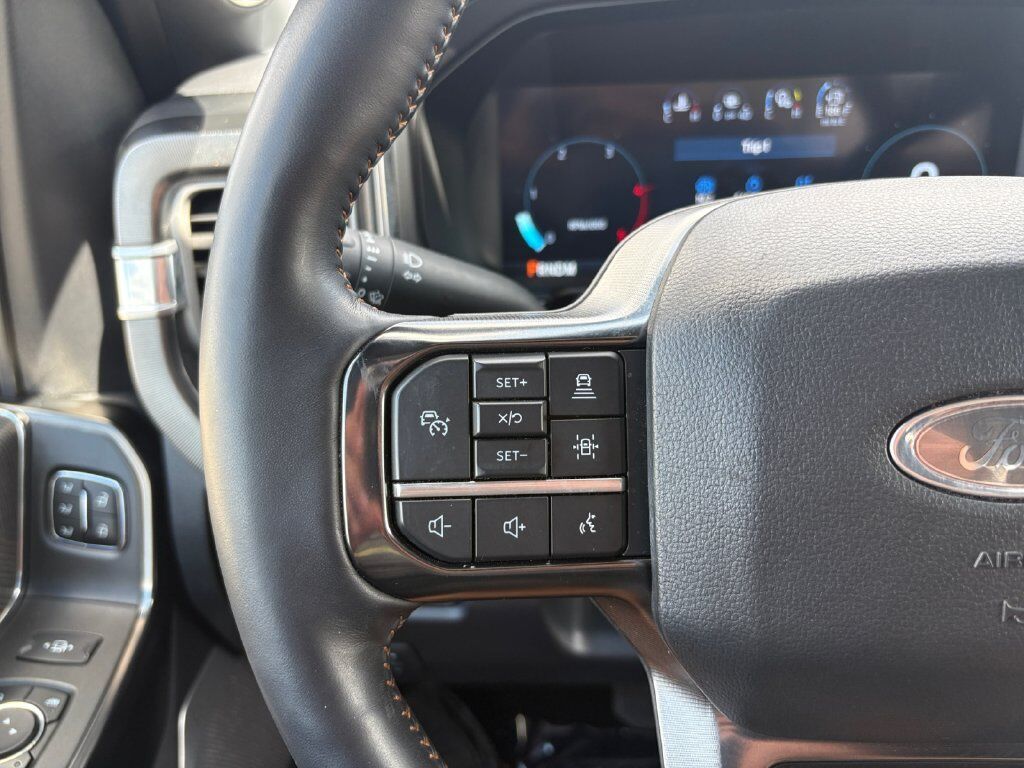 2024 Ford F-250SD Platinum Hondo TX