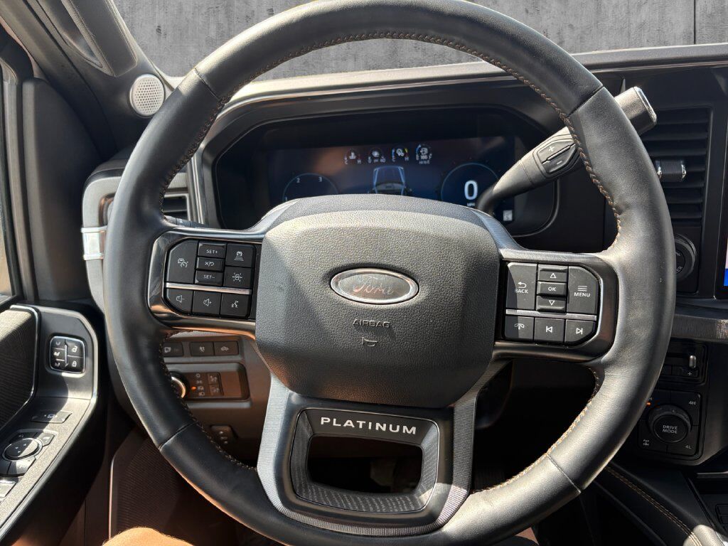 2024 Ford F-250SD Platinum Hondo TX