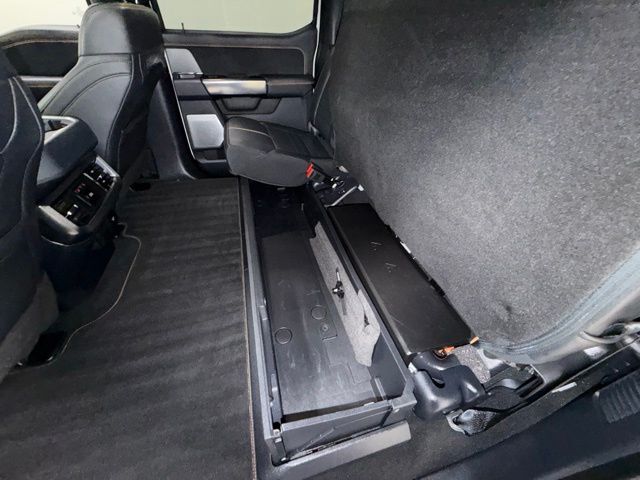 2024 Ford F-250SD Platinum Pine River MN