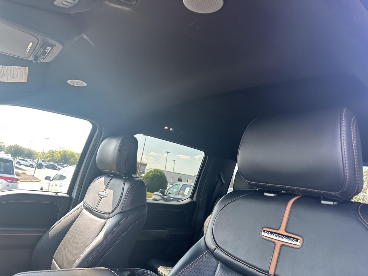 2024 Ford F-250SD Platinum Richmond VA