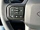 2024 Ford F-250SD XL Oshkosh WI