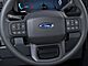 2024 Ford F-250SD XLT Oshkosh WI