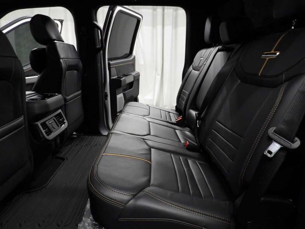 2024 Ford F-350 Super Duty 4x4 Crew Cab Platinum SRW Minocqua WI