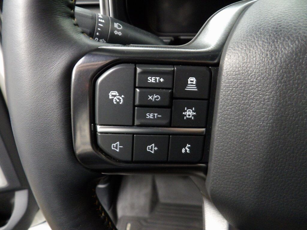 2024 Ford F-350 Super Duty 4x4 Crew Cab Platinum SRW Minocqua WI