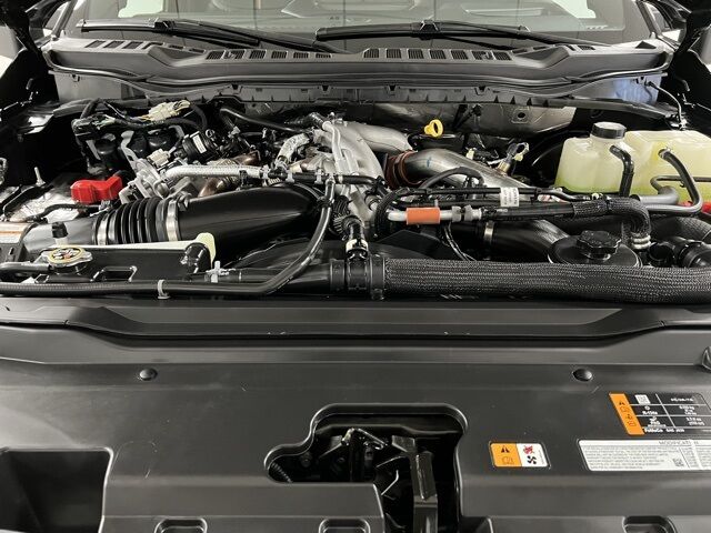 2024 Ford F-350SD Platinum Highlands Ranch CO