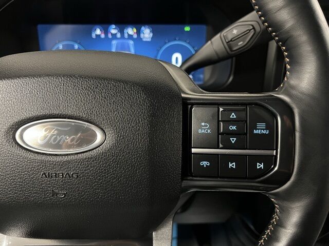 2024 Ford F-350SD Platinum Highlands Ranch CO