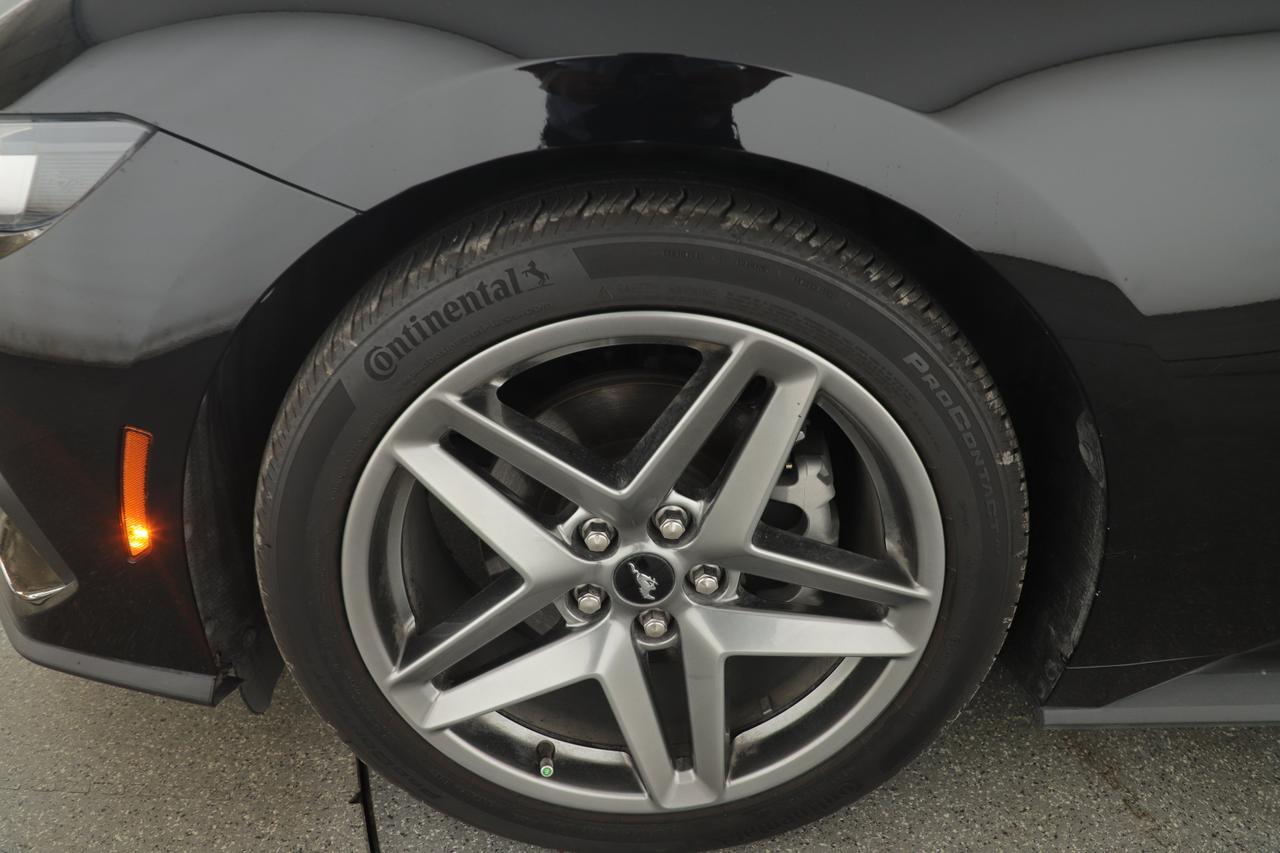 2024 Ford Mustang New Braunfels TX